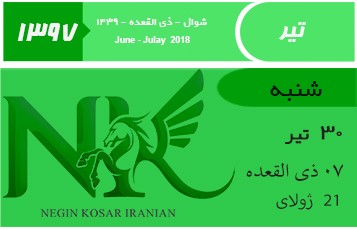 بانک مرکزی اعلام کرد؛ تامين ارز مسافرتی با دو نرخ رسمی و بازار ثانويه 8000